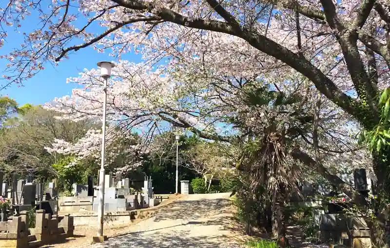 「愛樹木葬」千葉中央樹木葬墓地
