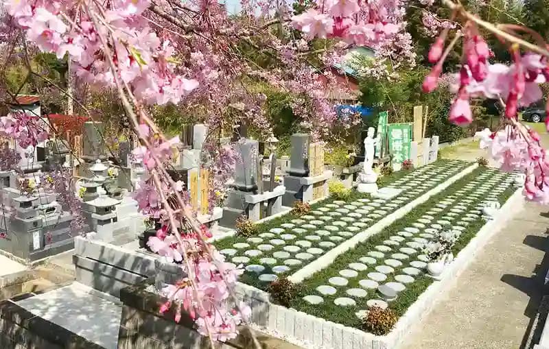 「愛樹木葬」市原さくら樹木葬墓地