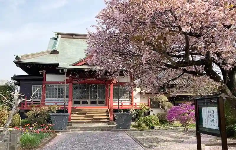 「愛樹木葬」佐倉樹木葬墓地