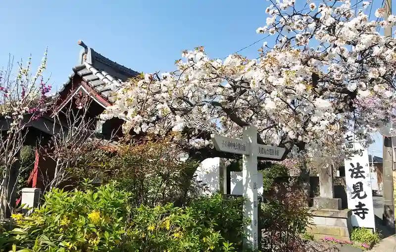 「愛樹木葬」北方樹木葬墓地