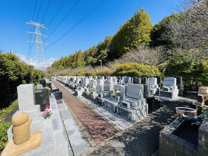 墓地