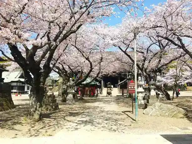 大本山 法華経寺墓苑