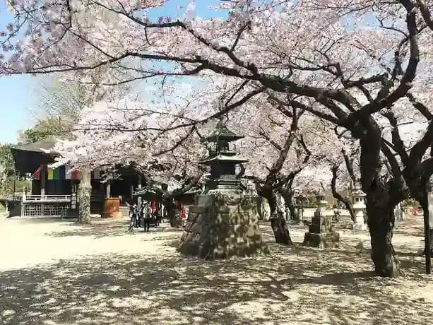 大本山 法華経寺墓苑
