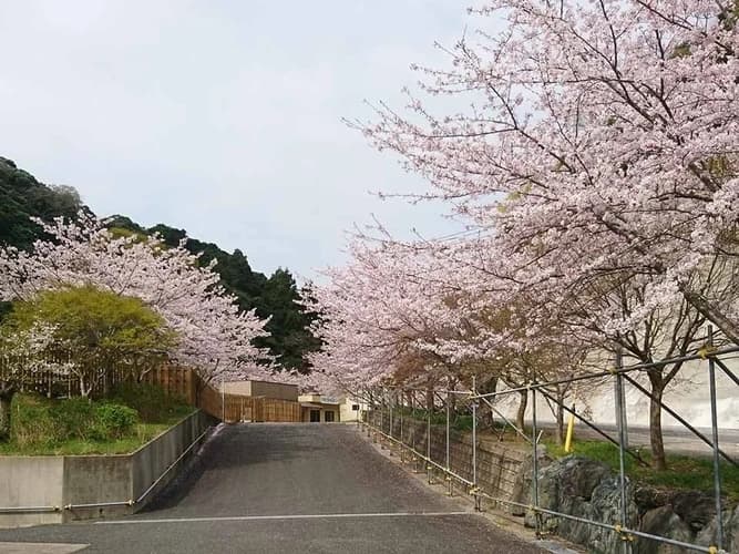 南房総ちくら霊園