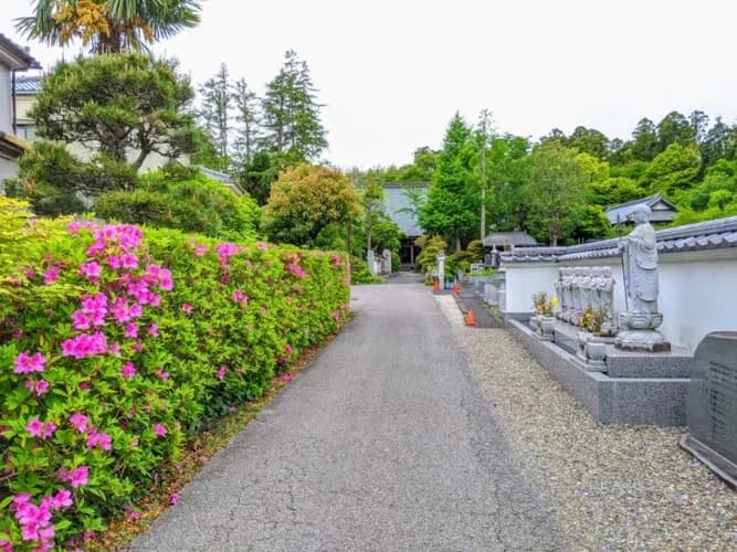 圓應寺 のうこつぼ