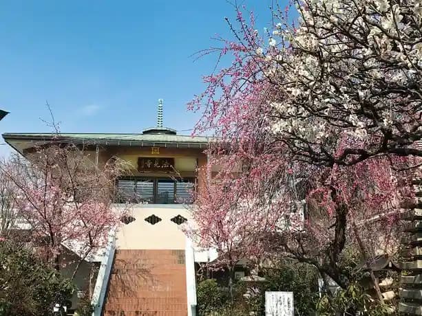 境内風景