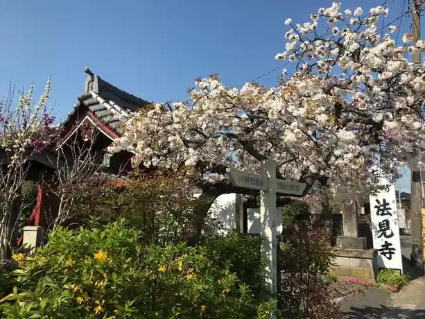 境内風景