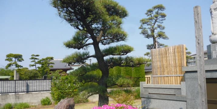 常運寺