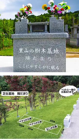 林祥寺霊園 樹木葬