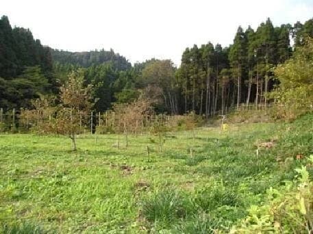 樹木葬の天徳寺