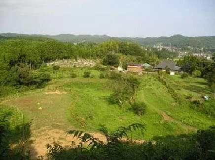 樹木葬の天徳寺