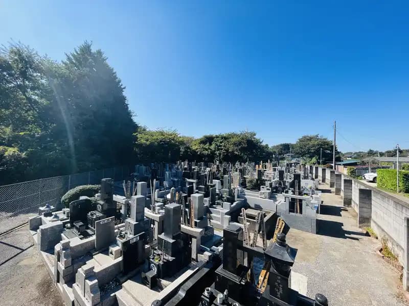 妙蓮寺