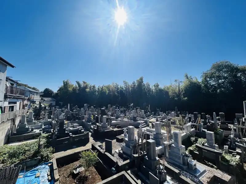 妙蓮寺