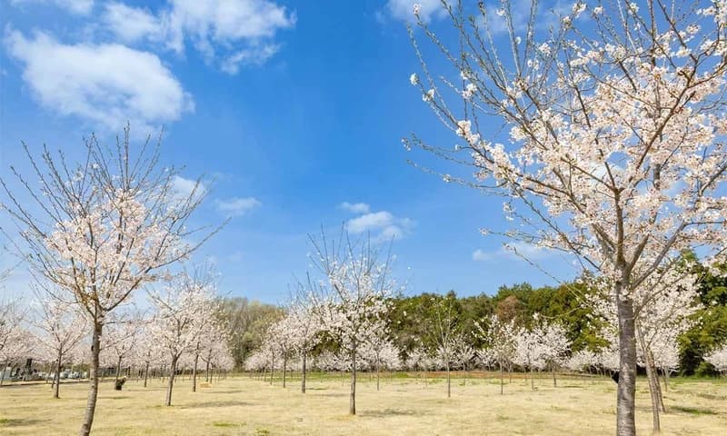 西の杜 「ブルームガーデン」