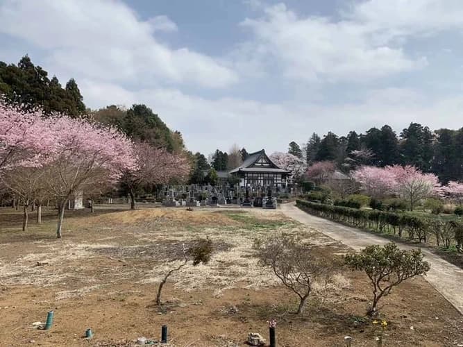 プレミアム「古河さくらの郷」樹木葬墓地