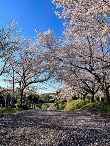 行きたくなる墓苑【つくば・かすみがうらメモリアルパーク】