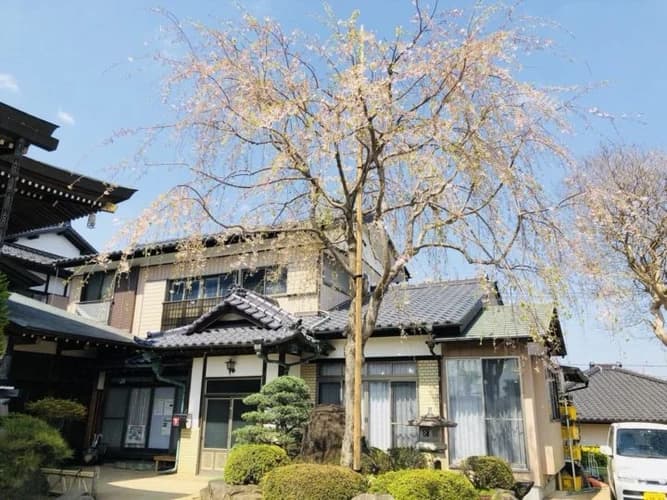 明超寺 のうこつぼ