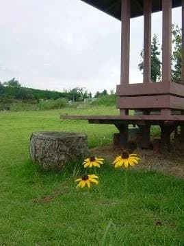 つくば霊園
