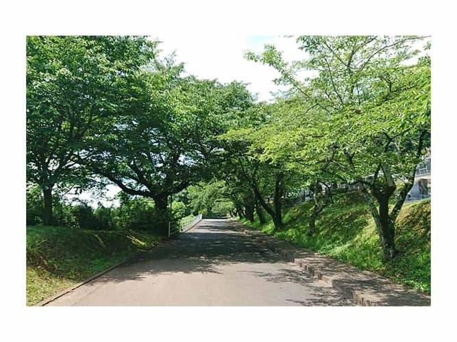 石岡市営 石岡龍神山霊園