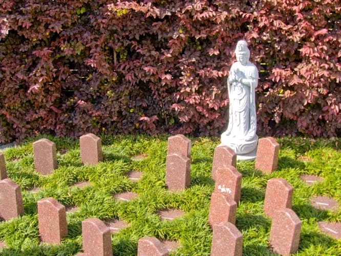 佐野大仏観音寺 永代供養樹木葬墓苑
