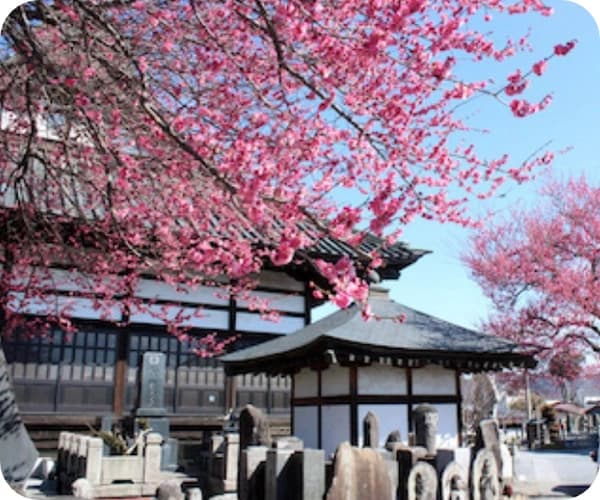 観音聖園 那須烏山市 樹木葬墓地