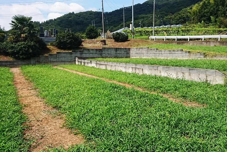 報恩寺