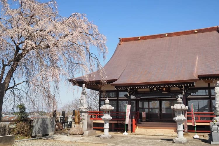 大安寺霊園