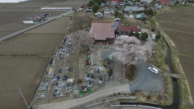 大安寺霊園