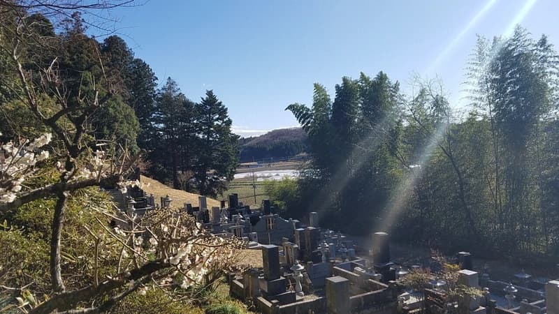 普濟寺墓地