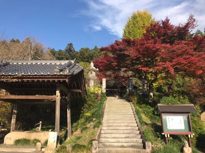 普濟寺墓地