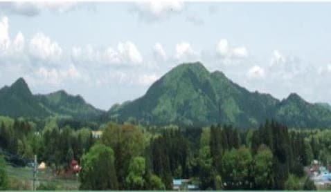 泉福寺