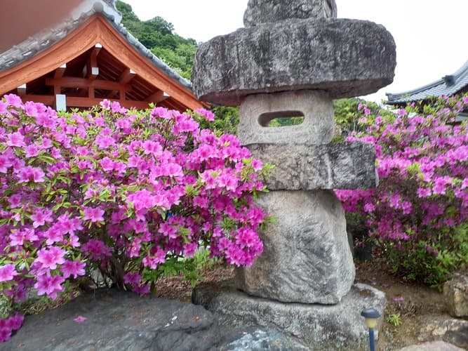 玉林寺霊園