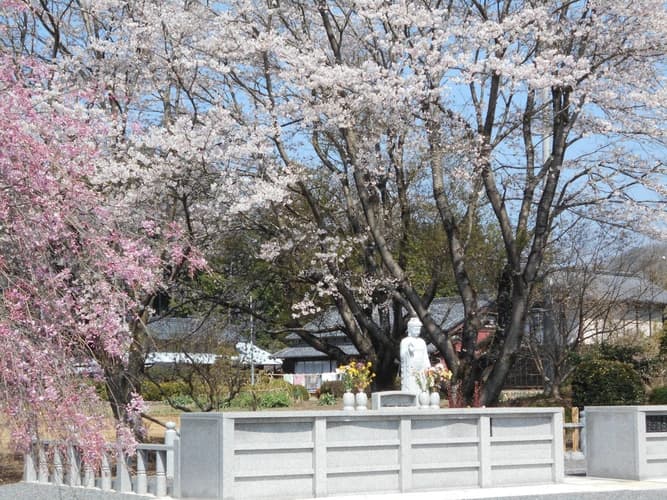 正光寺 日向霊園