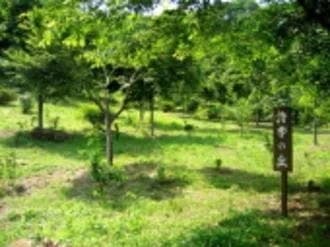 みかも山霊園