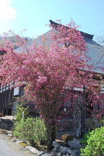 花の寺 宝積寺「宝桜の庭」樹木葬