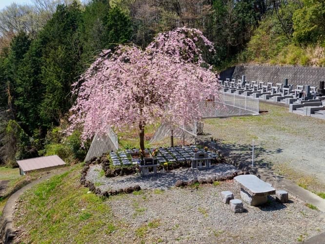 樹木葬墓地「チェリーブロッサム」