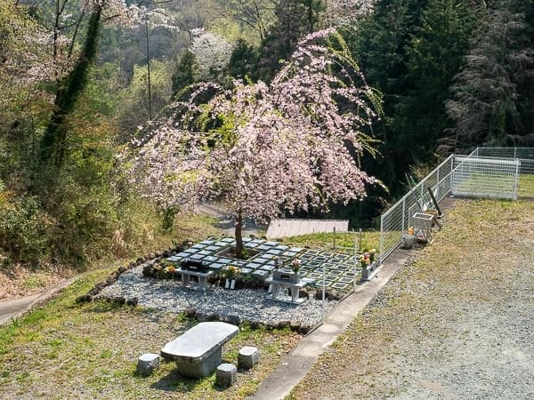 樹木葬墓地「チェリーブロッサム」