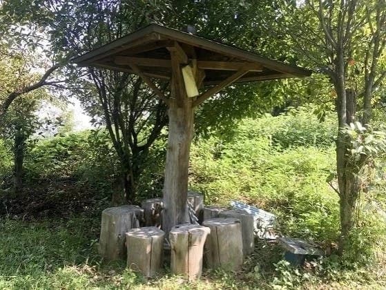 樹木葬なごみ
