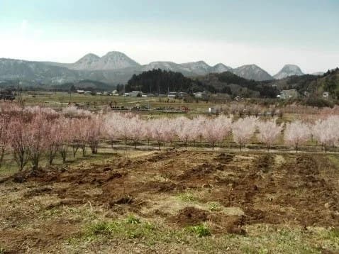 渋川北霊園