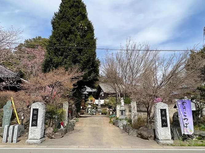 龍昌院 のうこつぼ