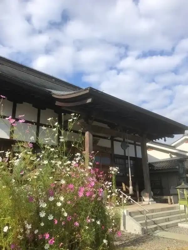 本堂×コスモス