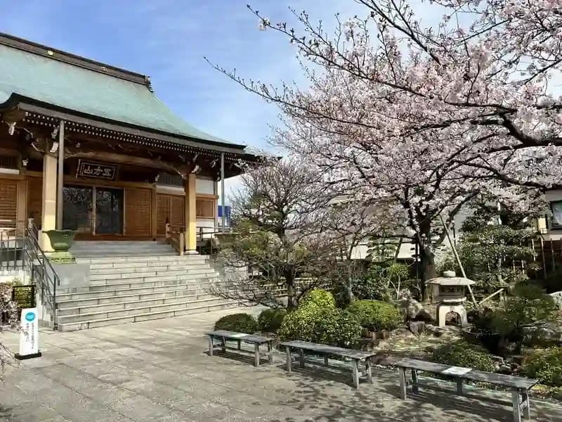 南蔵院  樹木葬  『わすれなぐさ』