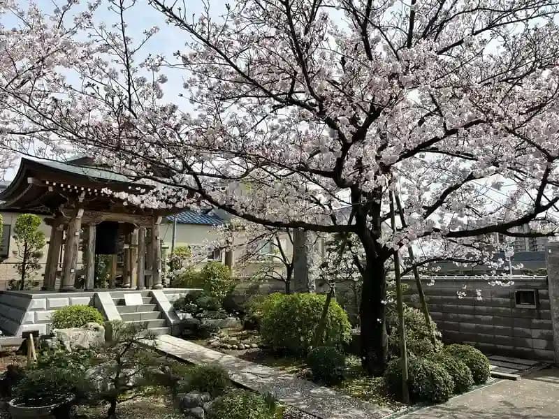 南蔵院  樹木葬  『わすれなぐさ』