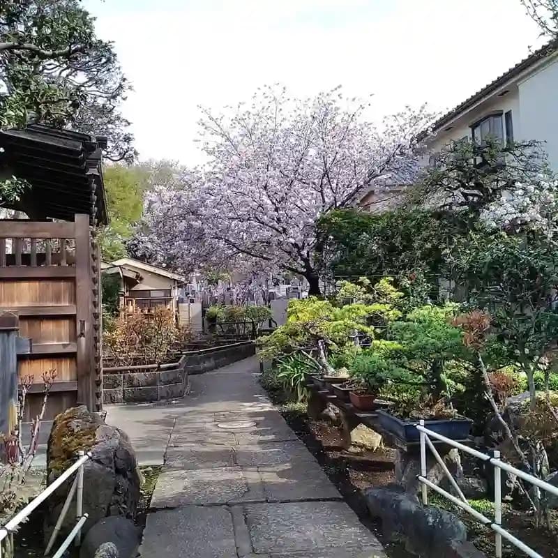 禅定院