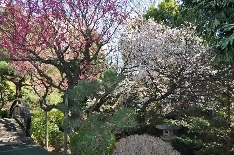 寶乘寺（ほうじょうじ）霊園「おもひでの径（みち）」
