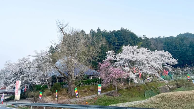 偲墓 実相山 妙行寺