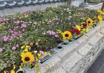 藤と桜のガーデン 船堀樹木葬