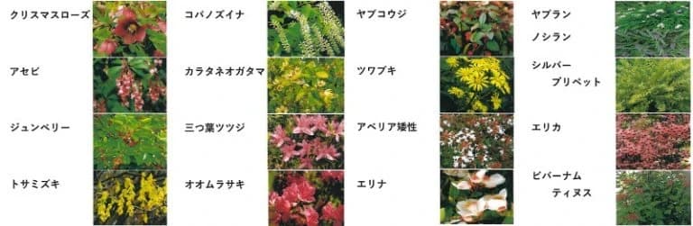 プレミアム東中野樹木葬墓地