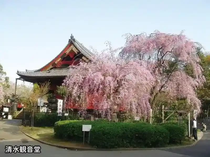 寛永寺　徳川浄苑・谷中霊園