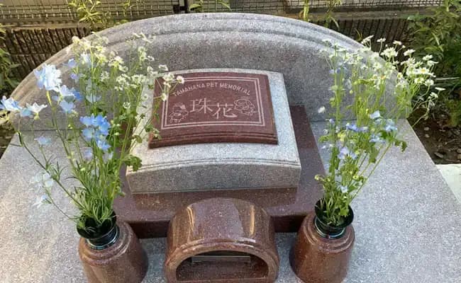 珠花散骨【観音院】
